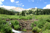 Taylor Valley